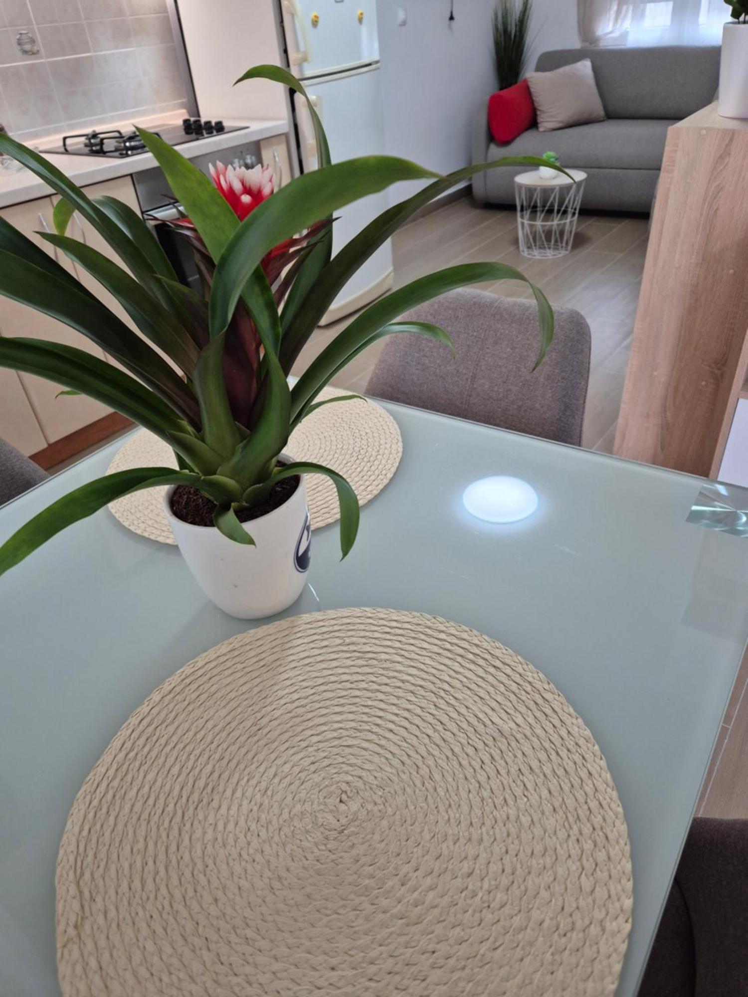 Apartments Duje Split Rom bilde